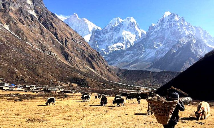 Kanchenjunga trek